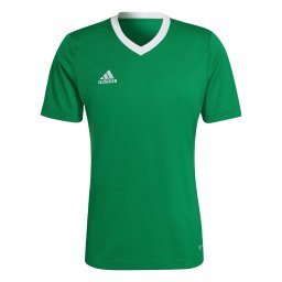 ADIDAS PERFORMANCE Tricou funcțional 'Entrada 22' verde iarbă / alb