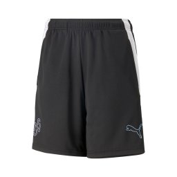 PUMA Pantaloni sport 'Neymar' albastru deschis / negru / alb natural