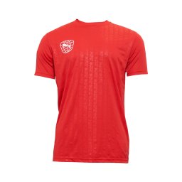 PUMA Tricou funcțional roșu deschis / alb