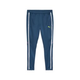 PUMA Pantaloni sport 'Individual Blaze' albastru gențiană / verde măr / roz eozină / alb
