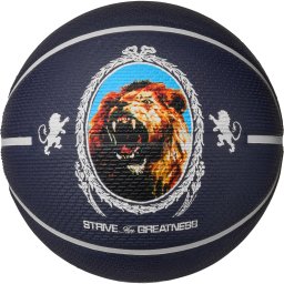 NIKE Minge 'Playground 8P L James Deflated' azur / albastru închis / maro / gri deschis