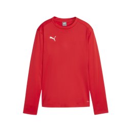 PUMA Hanorac sport 'TeamGoal' roșu / alb