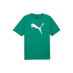 PUMA Tricou funcțional 'TeamRise' verde / alb