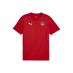 PUMA Tricou funcțional albastru / roșu / alb