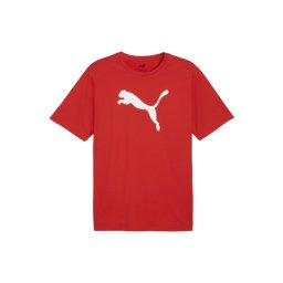 PUMA Tricou funcțional 'TeamRISE' roșu / alb