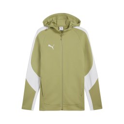 PUMA Bluză cu fermoar sport 'teamEVOSTRIPE' verde kiwi / alb