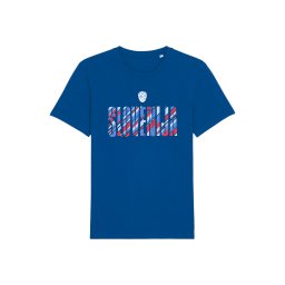 NIKE Tricou funcțional albastru deschis / albastru închis / roșu / alb