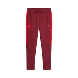 PUMA Pantaloni sport 'Red Bull Salzburg Evostripe' roșu / roșu carmin