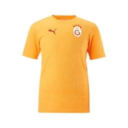 PUMA Tricot 'Galatasaray Istanbul' galben șofran / roșu / alb