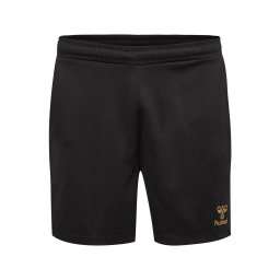 Hummel Pantaloni sport auriu / negru