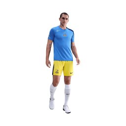 NIKE Pantaloni sport 'Tottenham Hotspur 2025/2026' galben / negru