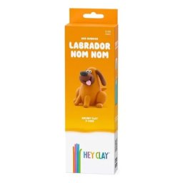 Hey Clay: Set de lut - Labrador