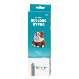 Hey Clay: Set plastilină - Bulldog