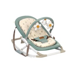 Balansoar, Jane, Fold, Pliabil, Bara de jucarii si spatar reglabil, Botanic