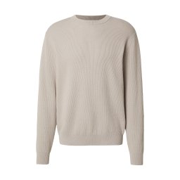 DAN FOX APPAREL Pulover 'Luis' gri deschis