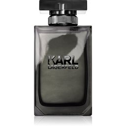 Karl Lagerfeld Karl Lagerfeld for Him EDT M 100 ml