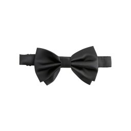 Next Papion negru