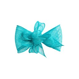 Lipsy Accesorii pentru păr turcoaz