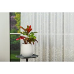 Perdea cu rejansă Splash Alb 1906 – Perdea elegantă cu broderie florală și bordură decorativă