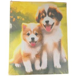 Tablou GR12 Goblen Diamante Rotunde, cu rama, 50 x 40 cm, Doi Catei