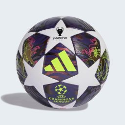 Minge finală Liga Campionilor UEFA J350 League