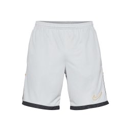 NIKE Pantaloni sport 'ACD25' auriu / gri deschis / negru / alb
