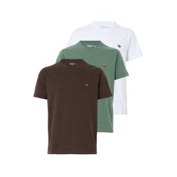 Abercrombie & Fitch Tricou maro / verde închis / alb