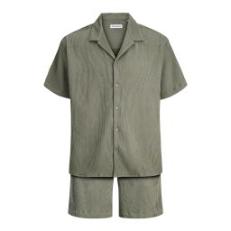 JACK & JONES Trening 'JJEHARRISON' verde stuf