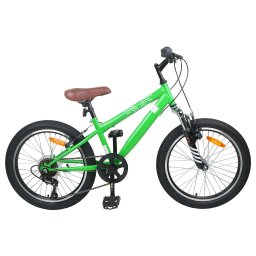 Kids Mountain Bike 20 Inci 6-Speed pentru 5-8 ani Verde GartenMobel Dekor