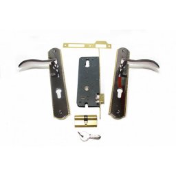 Broasca pentru usa cu butuc si silduri L31 BN-GP, set complet