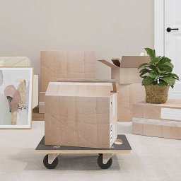 Carucioare transport 2 buc dreptunghiulare 50x35x11,5 cm 250 kg GartenMobel Dekor