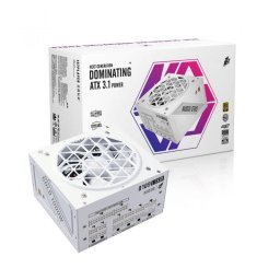 Sursa NGDP 1000 W Alb