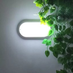 Plafoniera LED ovala FANTAS 8W, 17 cm, alb, pentru interior/exterior, IP65
