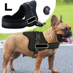 Ham pentru caini SENIOR DOG L (70 - 90cm) FAVLine Selection