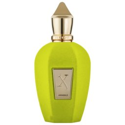 Parfumuri Tester Xerjoff Amabile EDP U 100 ml Tester