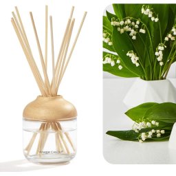Parfumuri pentru casa Yankee Candle Reed Diffuser Clean Cotton 100 ml