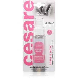 Parfumuri pentru casa Mr&Mrs Fragrance Cesare Car Air Freshener Citrus & Musk