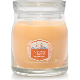 Parfumuri pentru casa Yankee Candle Slopeside Spritz 368 g