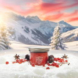 Parfumuri pentru casa Yankee Candle Tumbler Santa On Skis 122 g