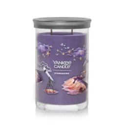 Parfumuri pentru casa Yankee Candle Tumbler Summit Stargazing 122 g