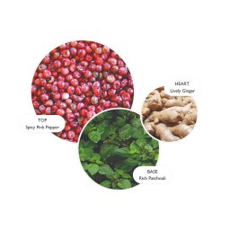 Molton Brown Fiery Pink Pepper Hand Lotion