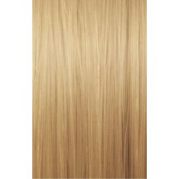 Wella Professionals Illumina Color 10/1 60 ml