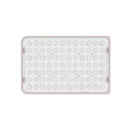 Kit Lampa LED Portabila Bi-Color 32W Amaran Ace 25X 2700K-6500K