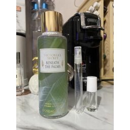 Victoria's Secret Beneath The Palms BOL W 236 ml