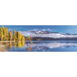 Clementoni: Colecția de calitate superioară: Puzzle panoramic Wanaka, arborele auriu - 1000 piese.