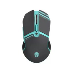 Mouse gaming wireless THUNDEROBOT ML503, 8000 DPI, negru