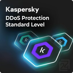 Kaspersky DDoS Protection Standard Level 1 User