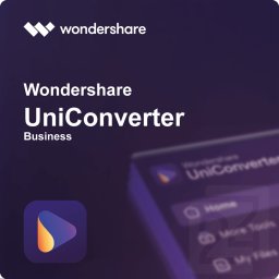 Wondershare UniConverter Business Windows 1 an