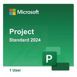Licenta Microsoft Project Standard 2024, Licenta Permanenta