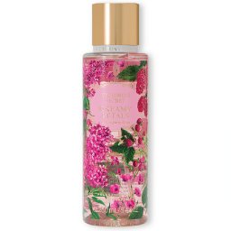 Victoria's Secret Dreamy Petals BOR W 250 ml